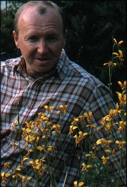 Ostern 2002mit Diuris emarginataXcorymbosa